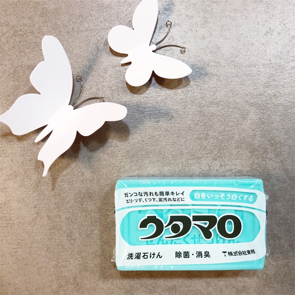 f:id:kikujiro_happy_home:20180702145428j:image